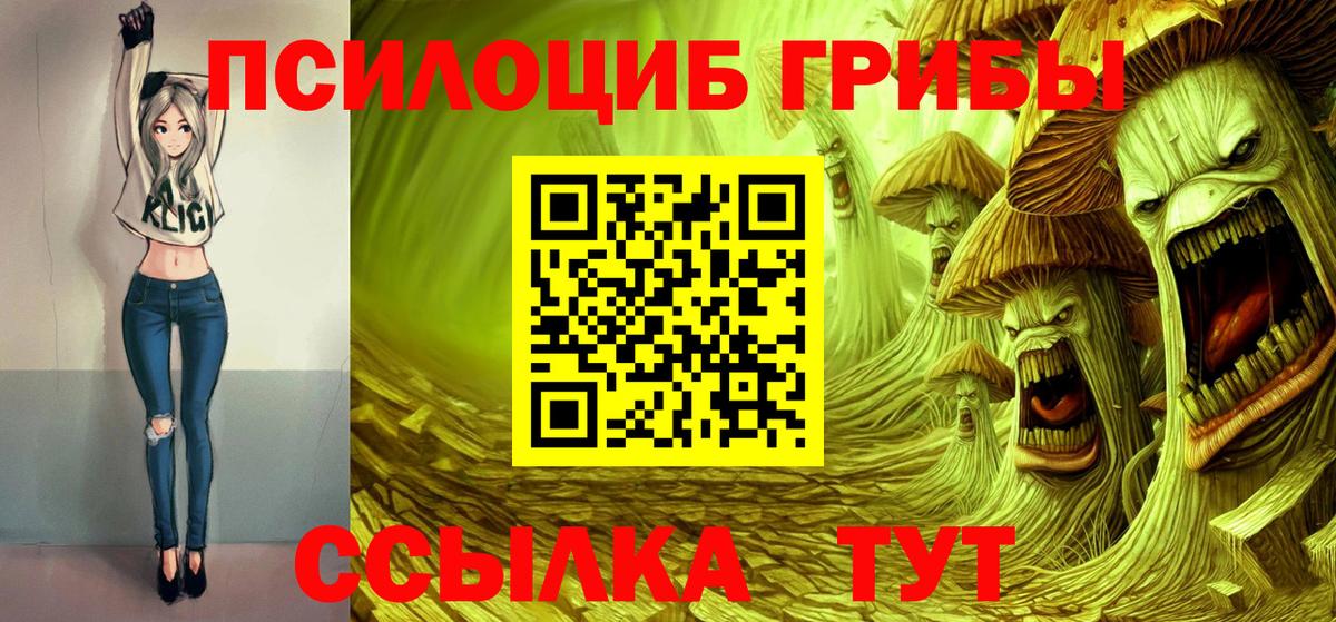 Псилоцибиновые грибы GOLDEN TEACHER Майский