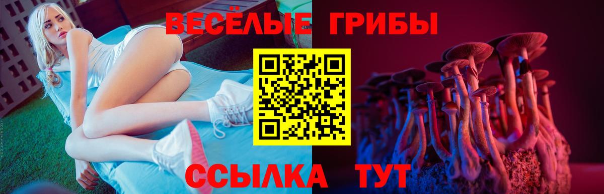 Майский  продажа наркотиков  Вход с VPN  Галлюциногенные грибы Cubensis 