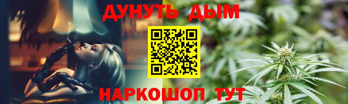 Конопля сатива Майский